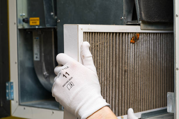 Best Affordable HVAC Duct Cleaning  in Kensington, CA